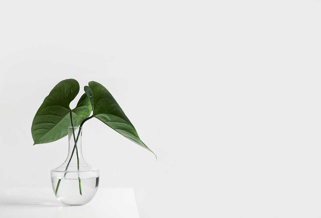 negative-space-in-photography
